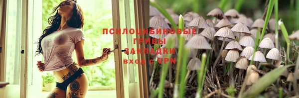 мескалин Арсеньев