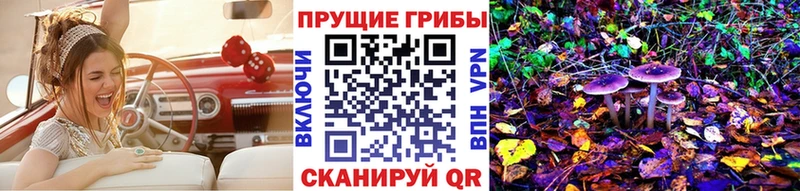 где можно купить наркотик  Калязин  Псилоцибиновые грибы мицелий 